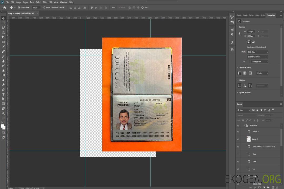 Aperçu photo du Lesotho Pass template
